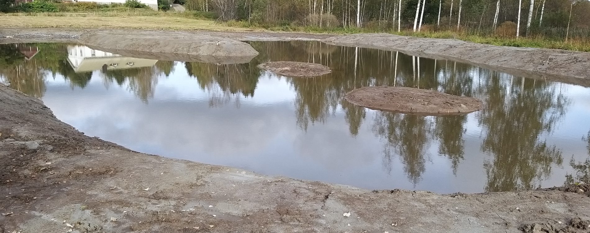 Haltiantien kosteikko