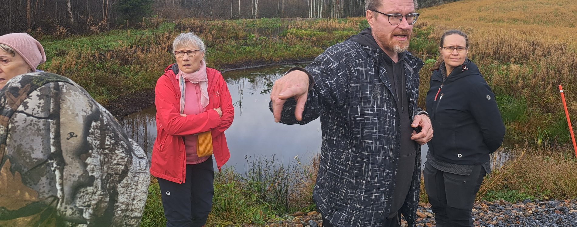 Pyhänpohtian kosteikko