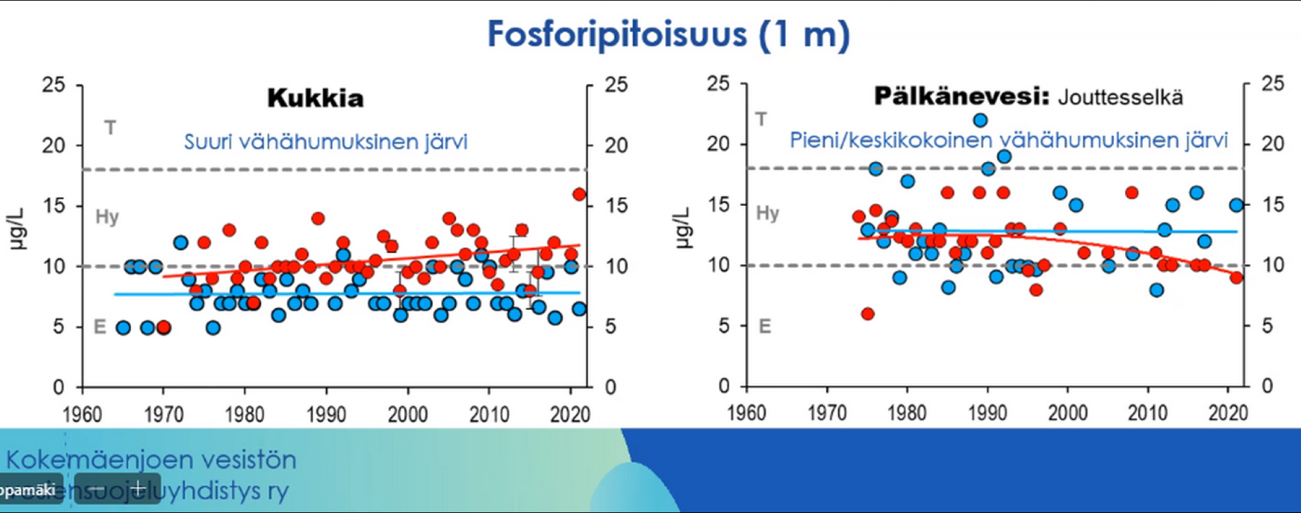 Fosforipitoisuus