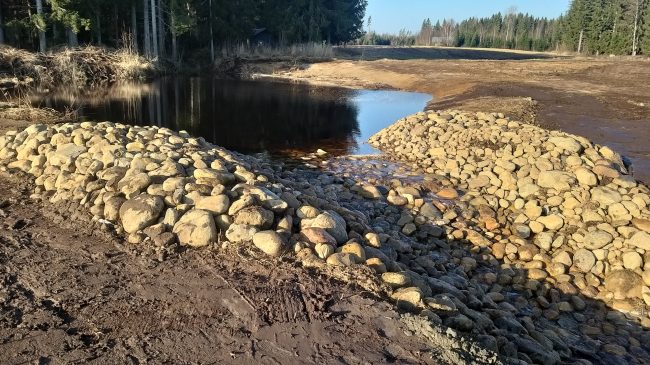 Kilpijärven kosteikko