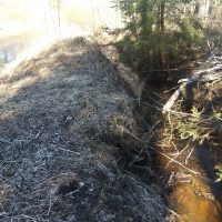 Urkanojan vettä voitaisiin kierrättää sen varteen kaivettujen altaiden kautta.