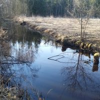 Korteoja tulvii yläosassa pelloille, vaikka kevättulva on olematon. Putkituksen uusiminen parantaisi kuivatusta ja vähentäisi ravinnehuuhtoutumia.
