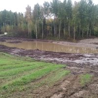 Pyhänpohtian kosteikko