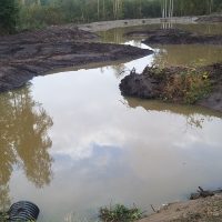 Pyhänpohtian kosteikko